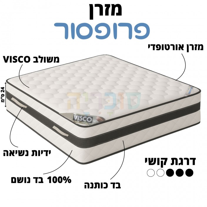 מזרון דגם פרופסור משולב ויסקו