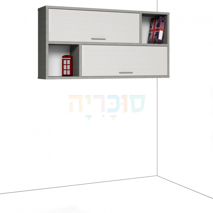 כוורת קיר רוני