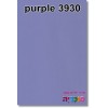 purple סגול 3930 