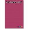 fuchsia פוקסיה U337 