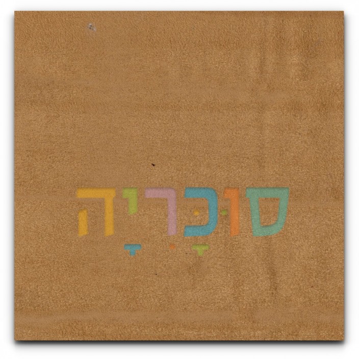 ראש מיטה מרופד מינסוטה