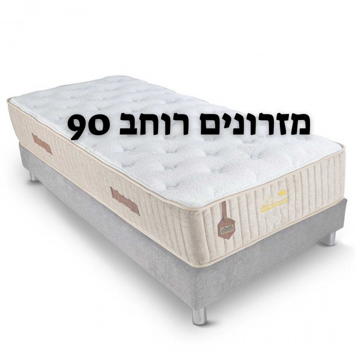 מזרון דגם פרופסור משולב ויסקו מזרון דגם פרופסור משולב ויסקו