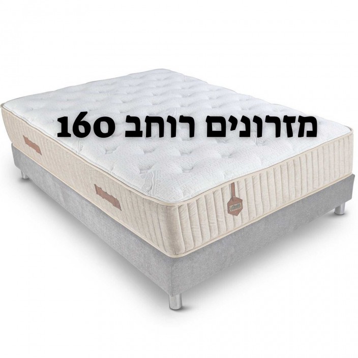 מזרון דגם פרופסור משולב ויסקו מזרון דגם פרופסור משולב ויסקו