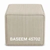 BASEEM 2 