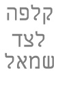 כוורת קיר ניצן