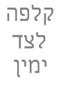 כוורת קיר ניצן
