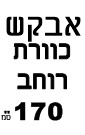 כוורת קיר לירון